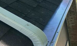 Leaf Screening Gutter Services in Langley