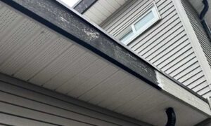 Fascia Board Replacement in Surrey