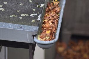 gutters repairs services in Port Moody