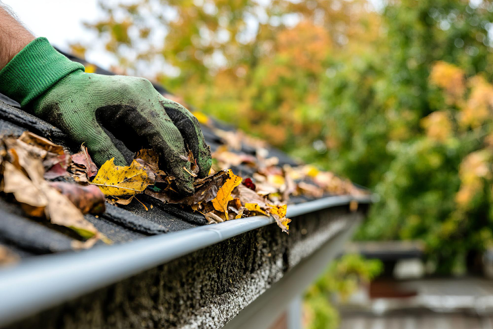 Gutter Cleaning in Surrey