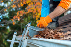 Gutter Cleaning in White Rock