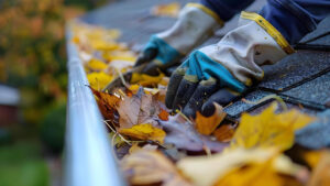 Gutter Cleaning in Surrey