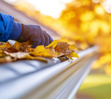 Gutter Cleaning in Port Moody