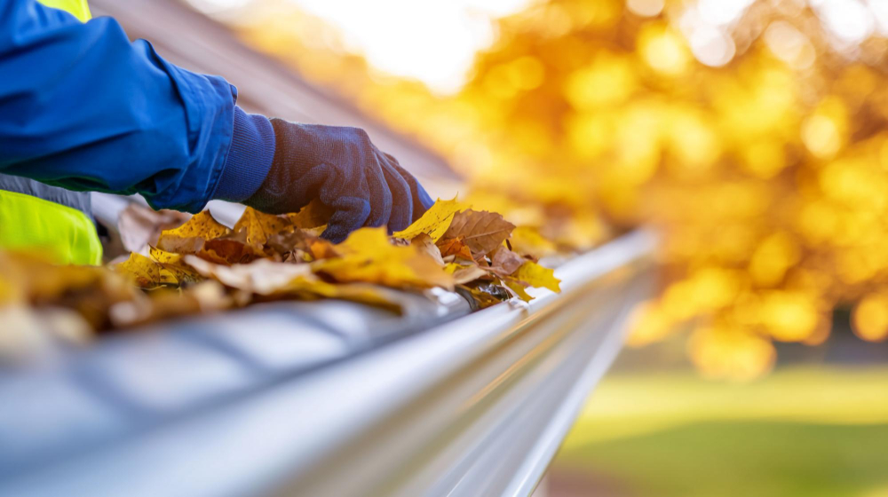Gutter Cleaning in Port Moody